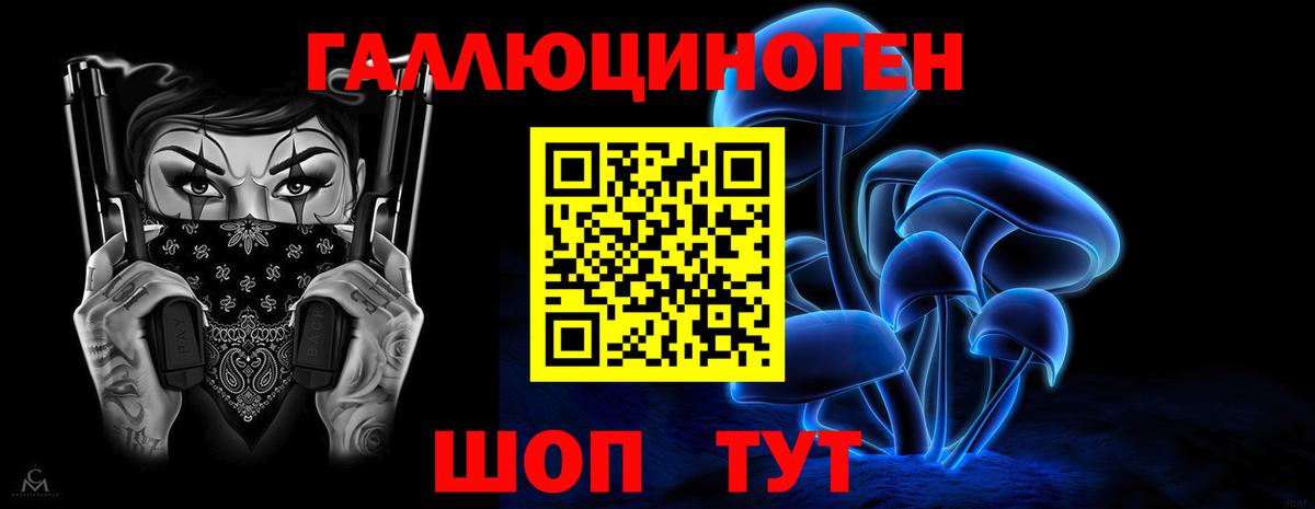 Галлюциногенные грибы Cubensis  Вход с VPN  Зеленогорск 